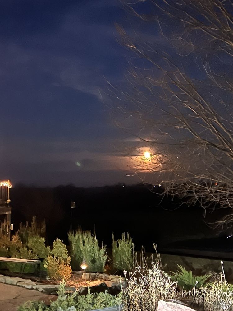 The Country Cabin Logo