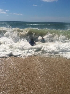 Edgartown South Beach by null