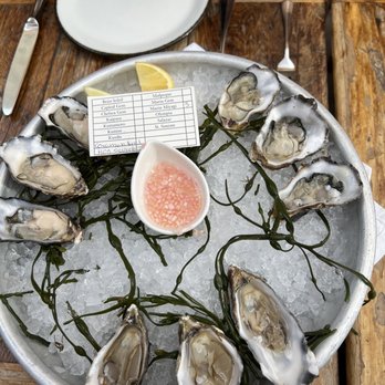 Foreign Cinema - Hog Island Atlantic , Point Reyes , Ca Kumamoto , Point Reyes , Ca - Breakfast & Brunch Near Me - San Francisco, California Foreign Cinema - Hog Island Atlantic , Point Reyes , Ca Kumamoto , Point Reyes , Ca - Breakfast & Brunch Near Me - San Francisco, California