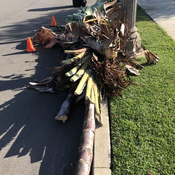 HSG-Hauling Solutions Group - Tree and shrub hauled off - Junk Removal & Hauling Near Me