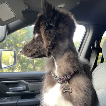 PetSmart - Pet Training Near Me - San Antonio, Texas