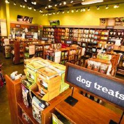 Amanda Dog Grooming Western Suburbs Houndbury Plaid Dog Bandana