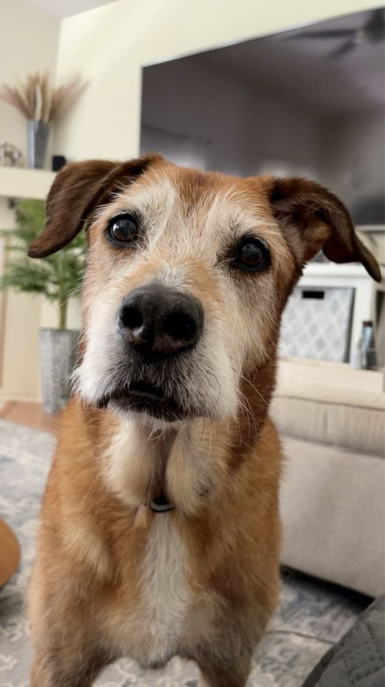 ARMSTRONG VETERINARY HOSPITAL Updated September 2024 16645 Highland