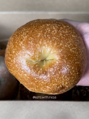 Backyard Bagel by null