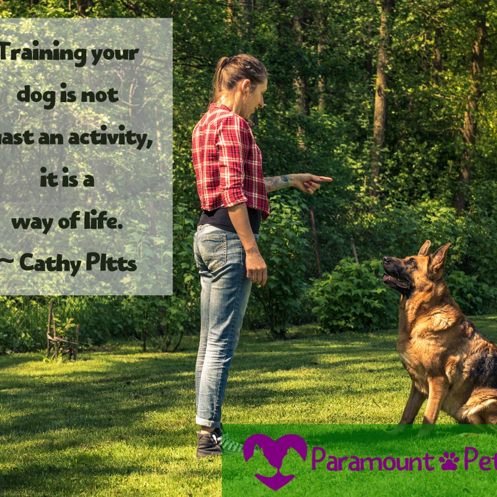 THE BEST 10 PET TRAINING near POLLOCK PINES, CA 95726 - Updated 2026 -  Hours - Yelp