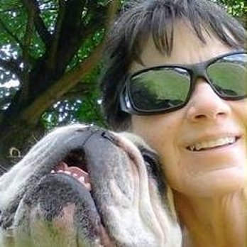 Canine Connection - Pet Training Near Me