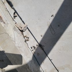 Mountain Home-Montana Vacation Rentals - Fishing rod left behind that the trapper was trying to get Marmots out of hole under porch