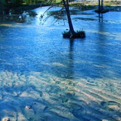 4J Riverway Cabins & RV Park - Frio River Fun