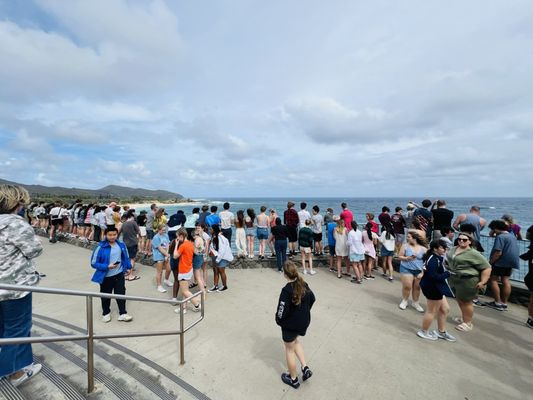 Halona Blowhole Lookout by null