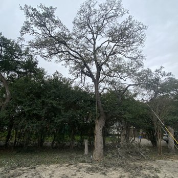 Sertich Tree Solutions - Tree Services Near Me Sertich Tree Solutions - Tree Services Near Me