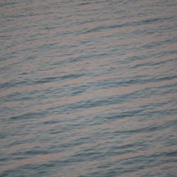 Nationalparkverwaltung Niedersächsisches Wattenmeer