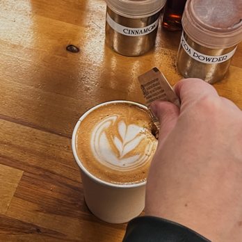 PlantShed - Cappuccino - Florists Near Me - New York, New York PlantShed - Cappuccino - Florists Near Me - New York, New York