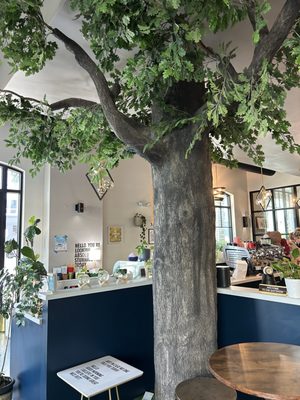 Lady and the Mug Specialty Coffee Shop by null