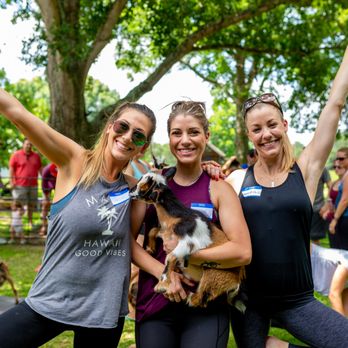 Goat Yoga Texas - Yoga Near Me - Tomball, Texas Goat Yoga Texas - Yoga Near Me - Tomball, Texas