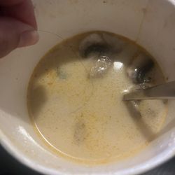 Tub Tim - Corte Madera - Tom Kha with hair in it