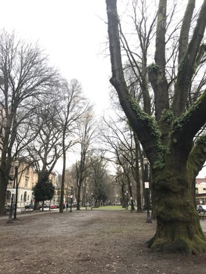 North Park Blocks by null