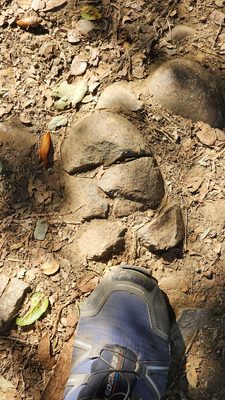 Anthony Chabot Regional Park by null