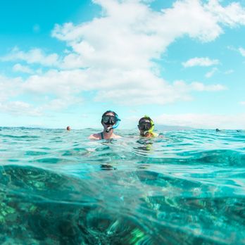 Trilogy Excursions - Snorkeling Near Me - Lahaina, Hawaii Trilogy Excursions - Snorkeling Near Me - Lahaina, Hawaii