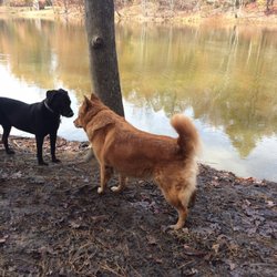 Mary Warner Mack Dog Park
