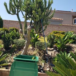 Scripps Clinic Urgent Care Rancho Bernardo - Cactus