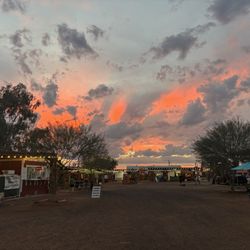 Power Road Farmers Market - A break in the crowd- concessions, etc.