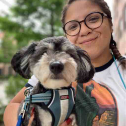 Houston Dog Walking Club - Teddy enjoying his daily walks with Karen!