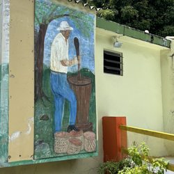 Arte Guavate
