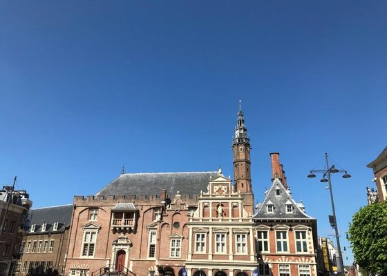Town Hall Haarlem by null