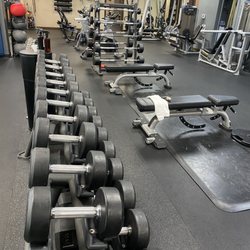 Grit City Wellness