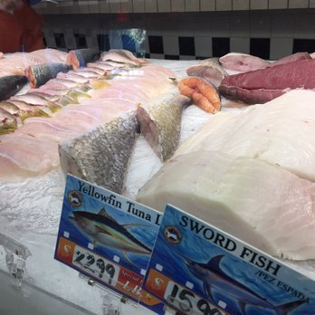 Casablanca - Fish market freshness - Seafood Near Me - Miami, Florida Casablanca - Fish market freshness - Seafood Near Me - Miami, Florida