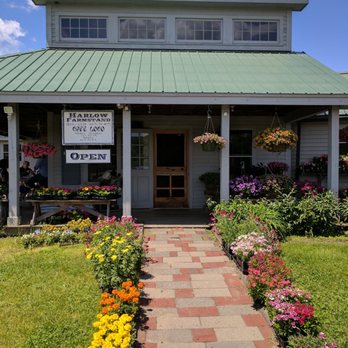 Cafe Loco - Cafes Near Me - Westminster, Vermont