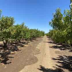Moffatt Ranch