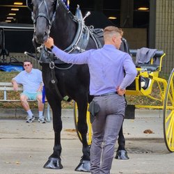 Ohio State Fair - Check This One Out!