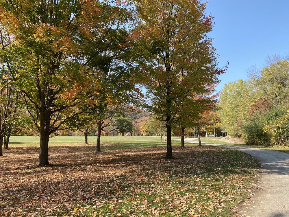 DWYER MEMORIAL PARK 27 Photos 6799 Little York Lake Rd, Preble, NY