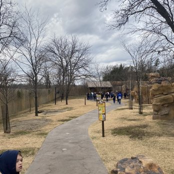 Kangaroo Walkabout - Zoos Near Me - Cincinnati, Ohio