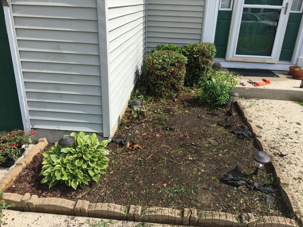 EASY DOES IT LAWN CARE & MORE Newport News, Virginia Pressure