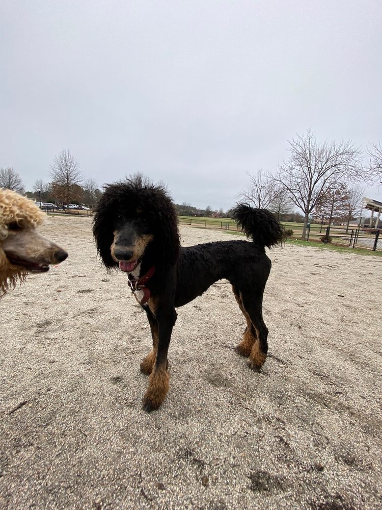 A Pet's Place - pet boarding facility in Augusta, GA