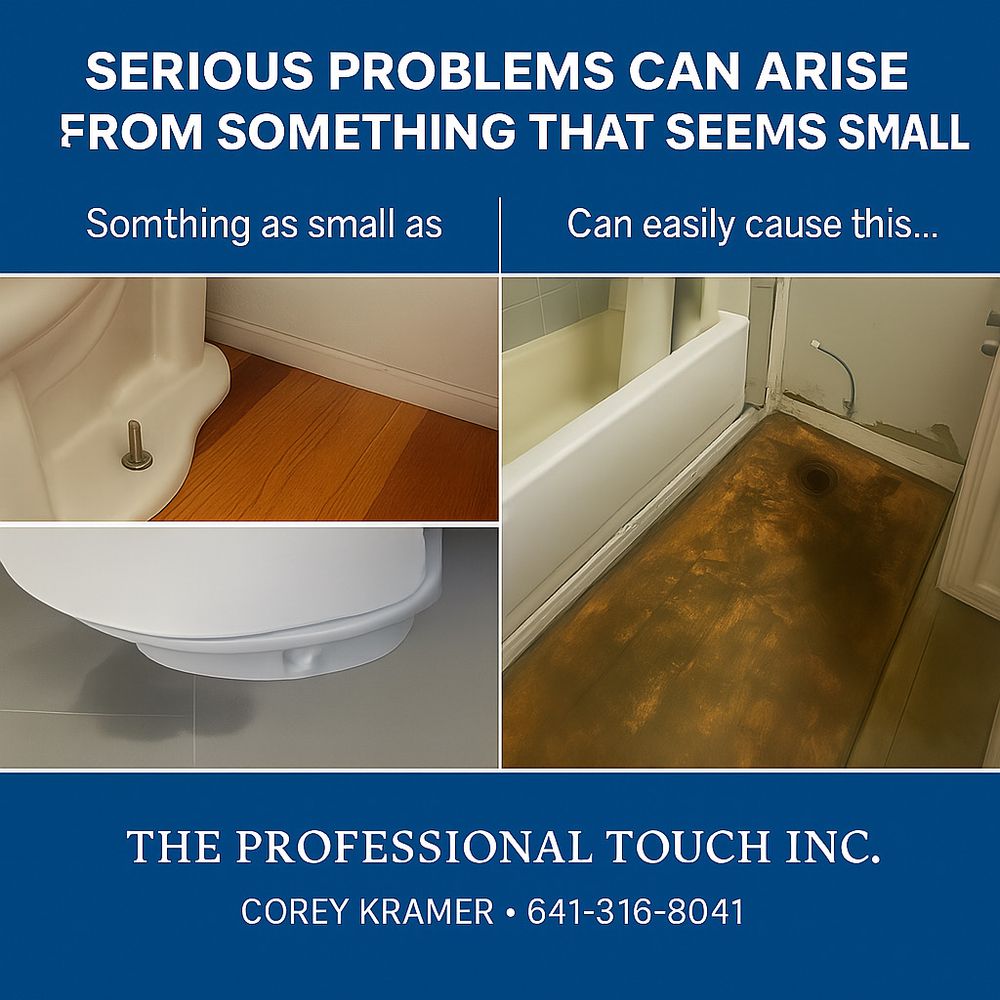 The Professional Touch - mold inspector in Iowa Falls, IA