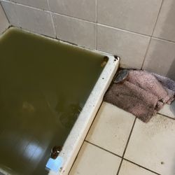 Fairview Realty Group - Downstairs bathroom. They said it's not urgent. Code enforcement doesn't agree it's urgent needs to be taken care of.