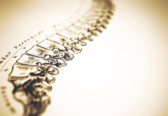 Chiropractic Care - Specializing in: - Alternative Medicine & Health Practitioners - Chiropractors & Chiropractic Services Chiropractic Care - Specializing in: - Alternative Medicine & Health Practitioners - Chiropractors & Chiropractic Services
