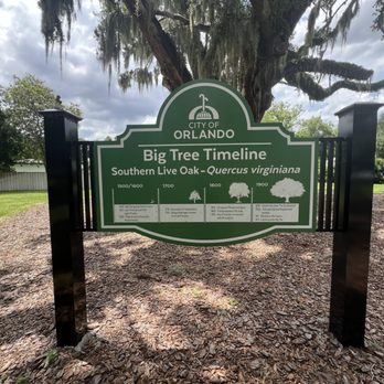 Big Tree Park - Parks Near Me - Orlando, Florida Big Tree Park - Parks Near Me - Orlando, Florida