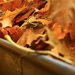 Sparkle Clean Services - Gutter Cleaning