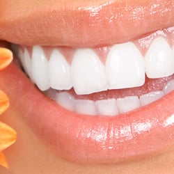 Connie E Morris,DDS