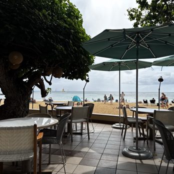 Hau Tree - Seafood Near Me - Honolulu, Hawaii