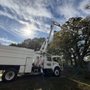 Photo of Blackwater Tree Service