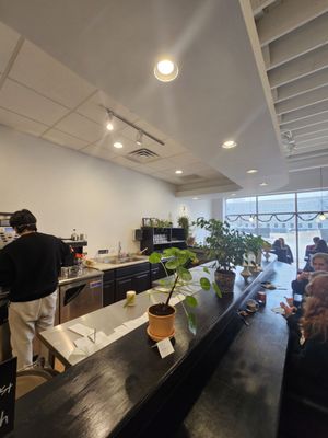 Blue Kale Cafe & Lounge by null