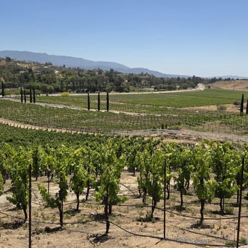 Poppin' Wine Tours - the magical viyards!! - Wine Tours Near Me