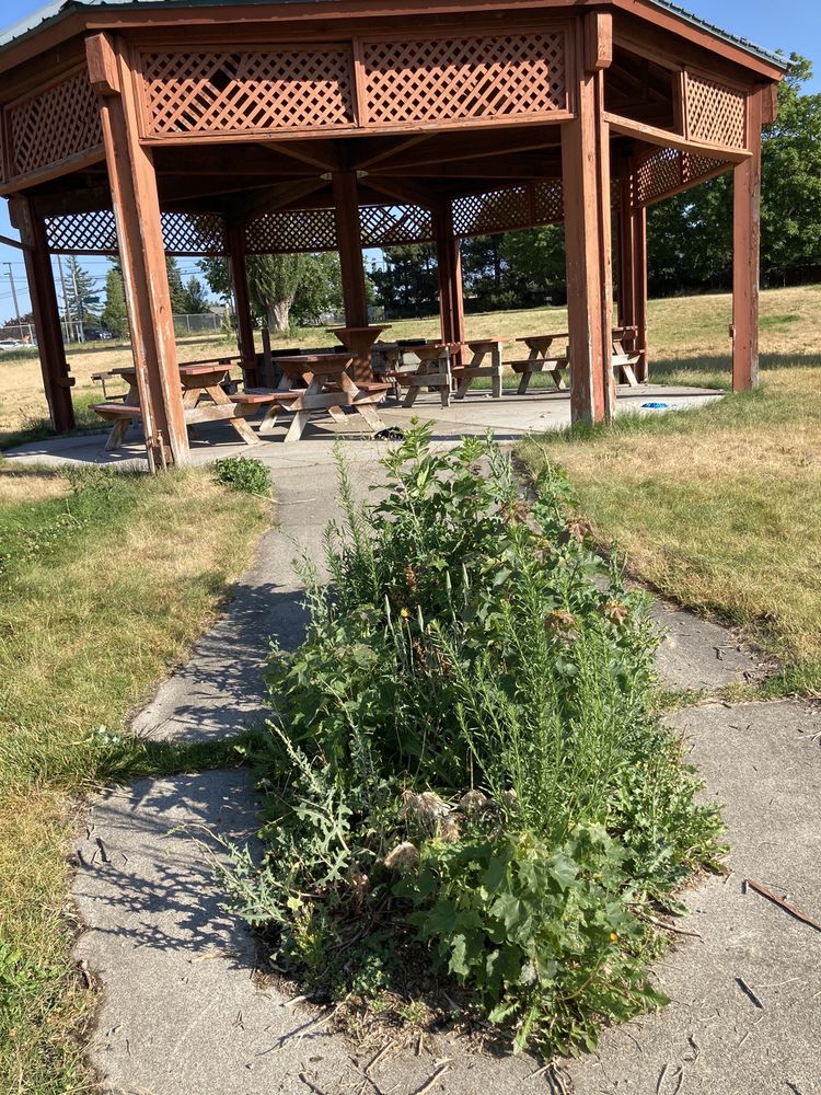 COEUR D’ALENE RV PARK Updated July 2024 12 Reviews 2652 E Mullan