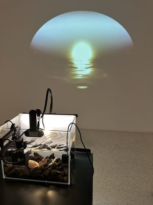 Museum of Contemporary Art San Diego by null