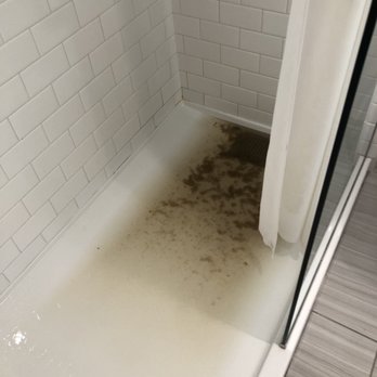 Flamingo Las Vegas - Showers continuing to gurgle forth other people's poop from other rooms. - Hotels Near Me - Las Vegas, Nevada Flamingo Las Vegas - Showers continuing to gurgle forth other people's poop from other rooms. - Hotels Near Me - Las Vegas, Nevada